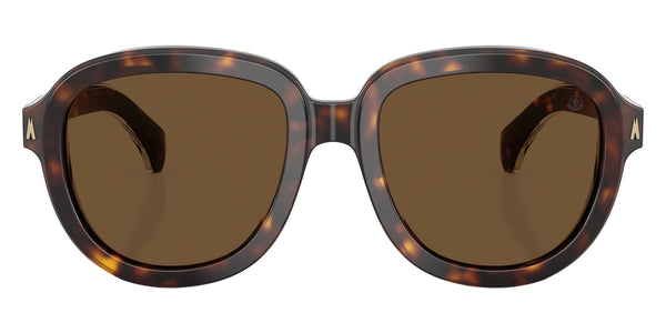 Shiny Dark Havana / Brown Solid / 54-20-145