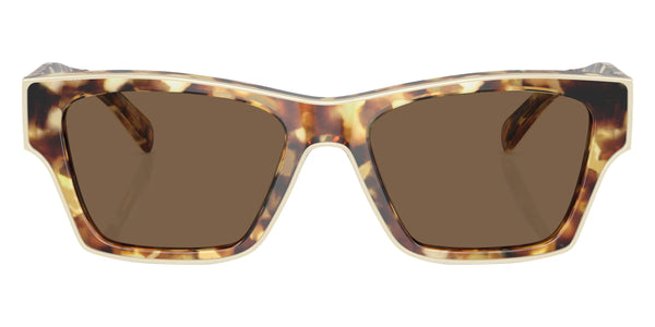 Tortoise/Ivory / Dark Brown / 53-18-145