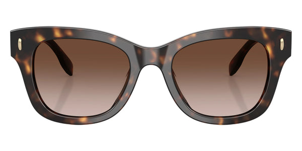 Dark Tortoise / Brown Gradient / 51-20-140