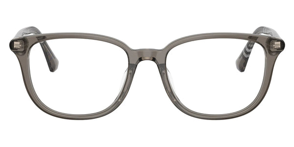 Gray/Check Lichen / 53-18-145