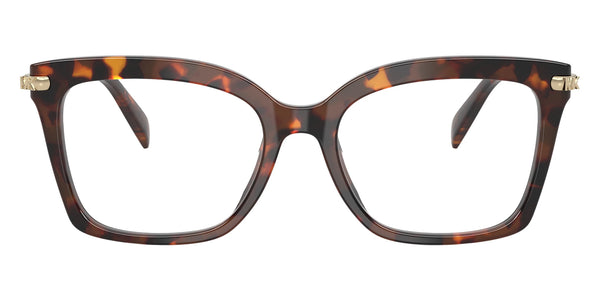 Luggage Tortoise / 53-18-140