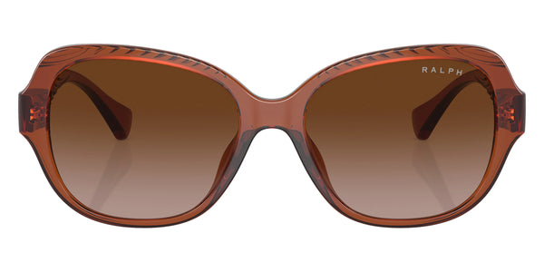 Shiny Dark Havana / Gradient Brown / 56-17-145