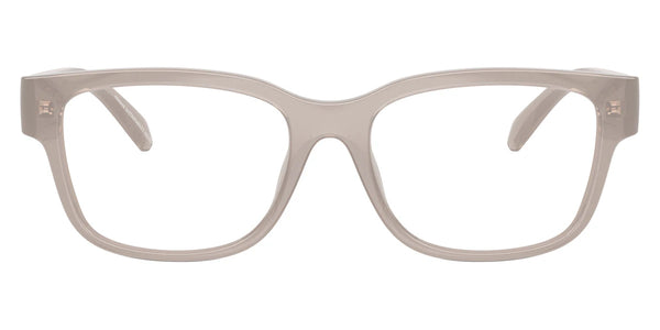 Shiny Opal Light Gray / 53-17-140