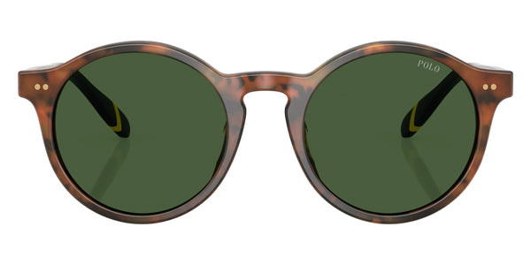 Shiny Brown Tortoise/Shiny Tartan Dress Gordon/Blue / Bottle Green / 50-21-145