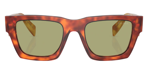 Cognac Tortoise / Green / 50-21-145