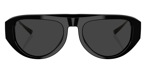 Black / Gray Polarized / 55-19-145