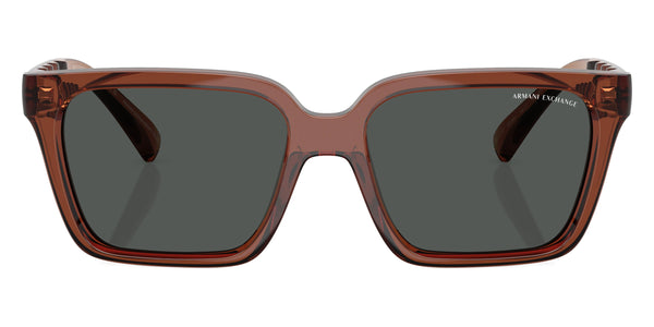 Shiny Transparent Brown / Dark Gray / 56-18-145