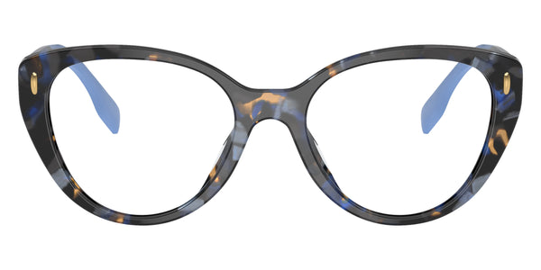 Blue Tortoise / 50-18-145