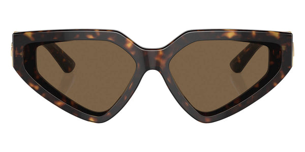 Havana / Dark Brown / 59-15-145