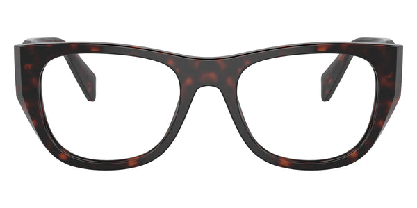 Root Tortoise / 52-18-145