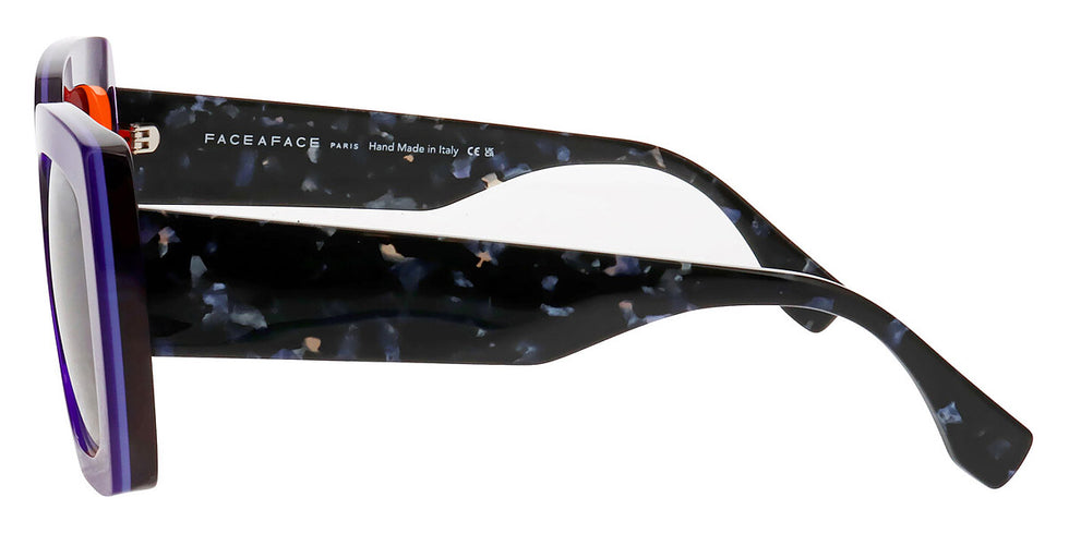 Face a Face - ASHOKA 2