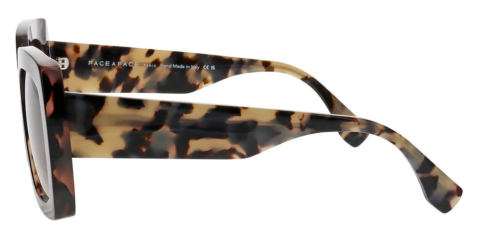 Face a Face - ASHOKA 2