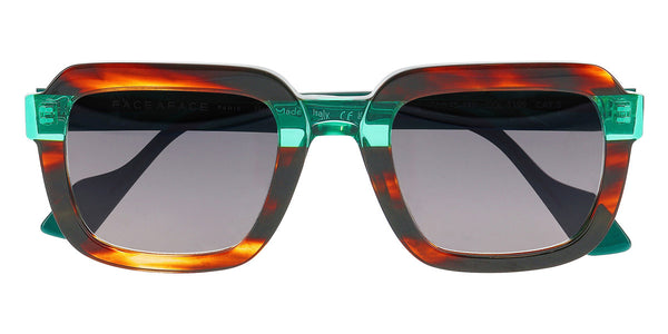 Blaze Tortoise / 51-25-148