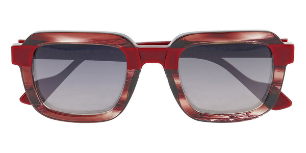 Misty Bark Tortoise / 51-25-148