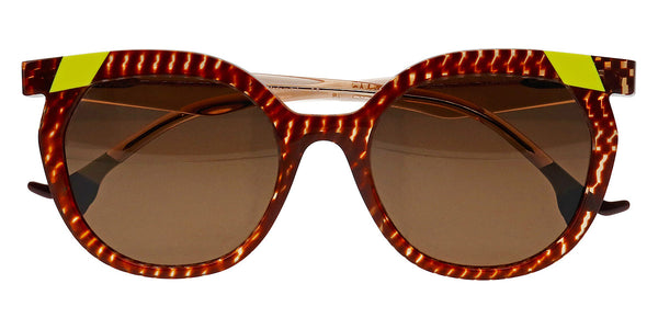 Checkered Tortoise / 52-20-147