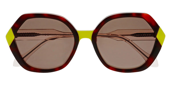 Orange Tortoise / 57-18-144