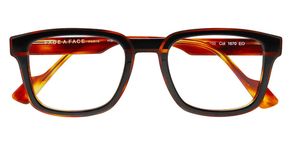 Black Horn Brown / 51-21-150