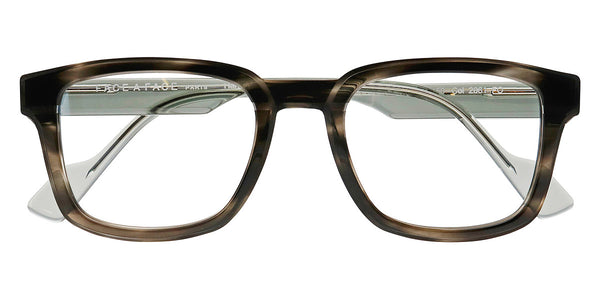 Gray Transparent Tortoise / 51-21-150
