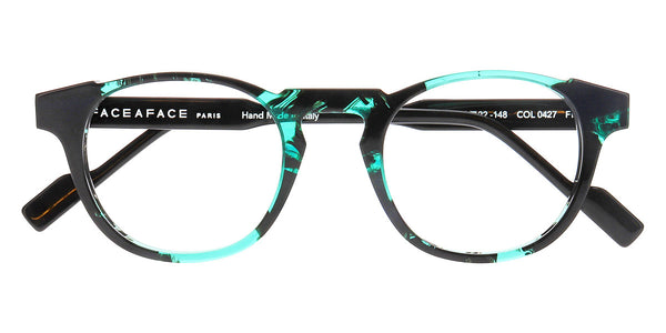 Tortoise Black Green / 48-22-148