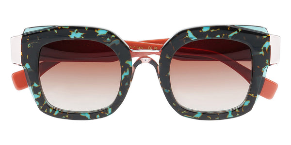 Transparent Granite Tortoise / 49-26-145