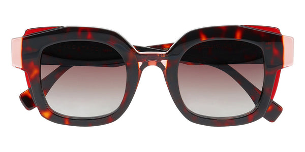 Light Dark Tortoise / 49-26-145