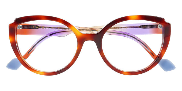 Medium Tortoise / 54-19-145