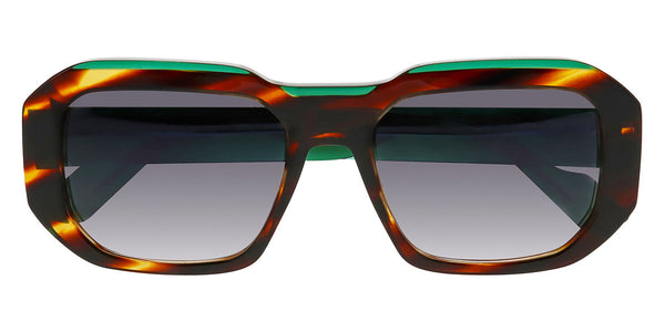 Blaze Tortoise / 56-19-152