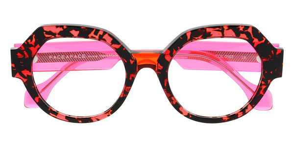 Cassis Tortoise / 51-20-140