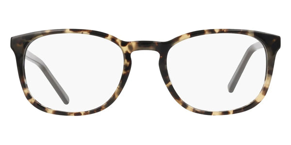 Tokyo Tortoise / 52-20-145