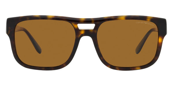 Havana and Transparent Brown / Brown Polarized / 57-18-145