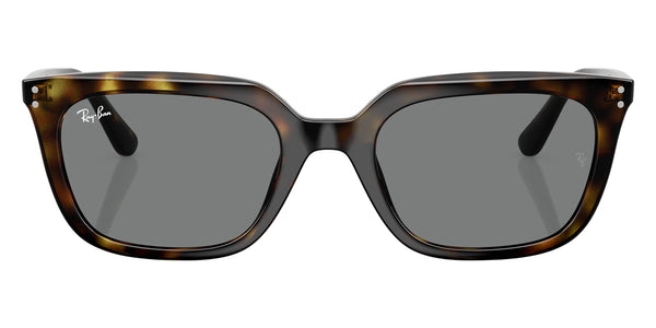 Havana / Dark Gray / 54-21-145