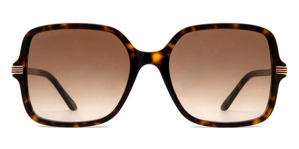 Havana / Brown Gradient / 55-19-140