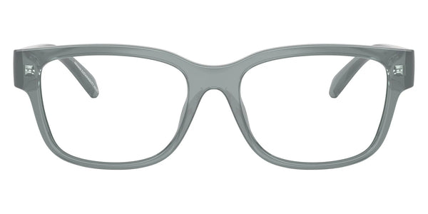 Shiny Opal Gray / 53-17-140