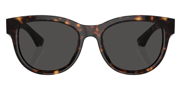 Dark Havana / Dark Gray / 54-19-140