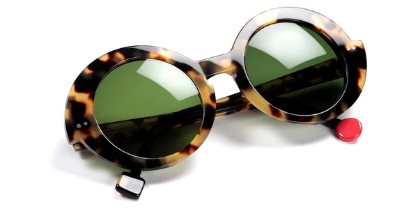 Shiny Tokyo Tortoise / 51-25-145