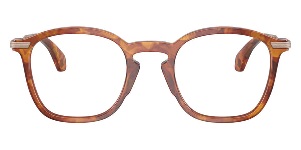 Shiny Brown Tortoise / 48-22-145