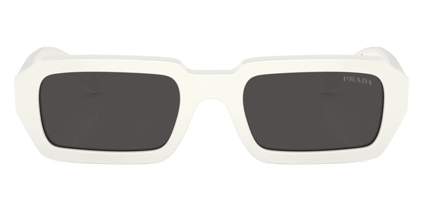 White / Dark Gray / 54-19-140