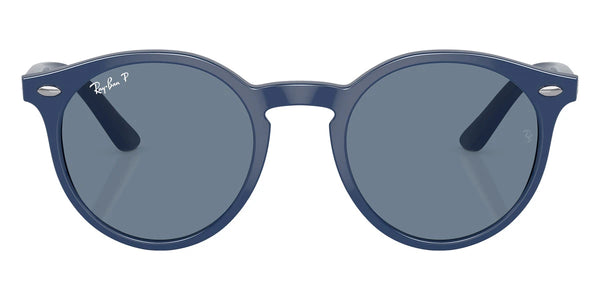 Blue / Dark Blue Polarized / 44-19-130