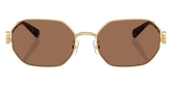 Shiny Gold / Dark Brown / 55-18-140