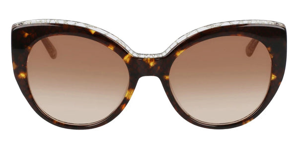 Tortoise / 55-19-135