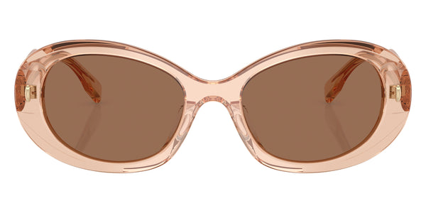 Transparent Light Brown / Dark Brown / 53-19-140