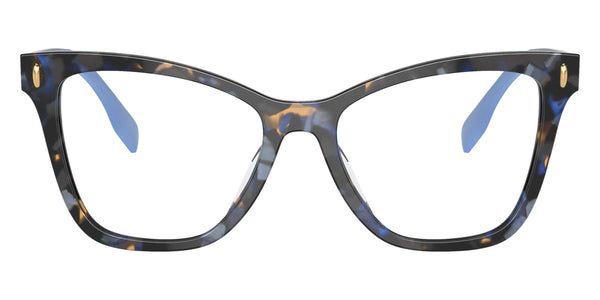 Blue Tortoise / 51-17-145