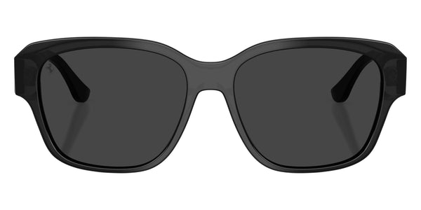 Black / Black Polarized / 57-16-145