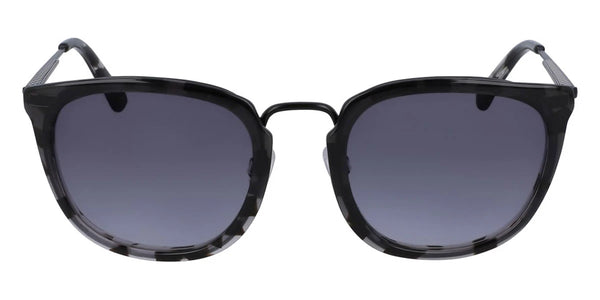 Smoke Tortoise / 53-21-140