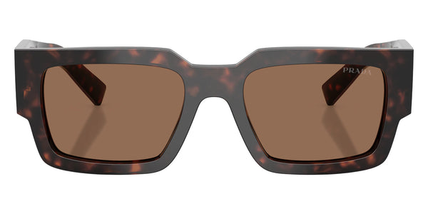 Root Tortoise / Dark Brown / 54-20-145