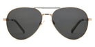 Foster Grant Polarized Aviator Sunglasses 481 - Gold / Smoke Polarized