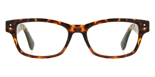 Tortoise / 36-18-140