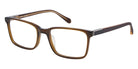 Fossil L 492 0ZI9 50 - Crystal Brown #id:fos7229000fl4_s:108105