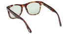 Tom Ford FT1099 56N 52 - Colored Havana / Green Photochromic 56N #id:ft109956n_s:100115