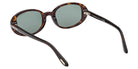 Tom Ford FT1364 IGGY 52N 49 - Dark Havana / Green #id:ft136452n_s:102115
